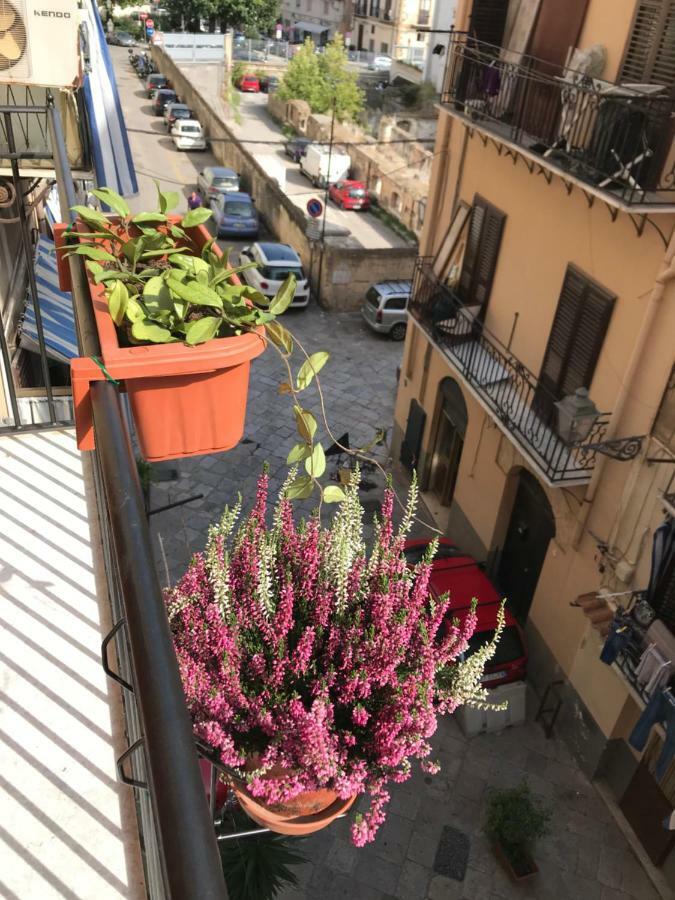 Massimo Comfort Palermo